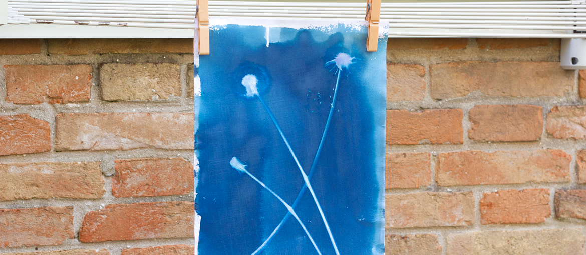 Cyanotype Guide